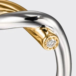 WHITE GOLD-YELLOW GOLD TIES RING>Boochier Hot